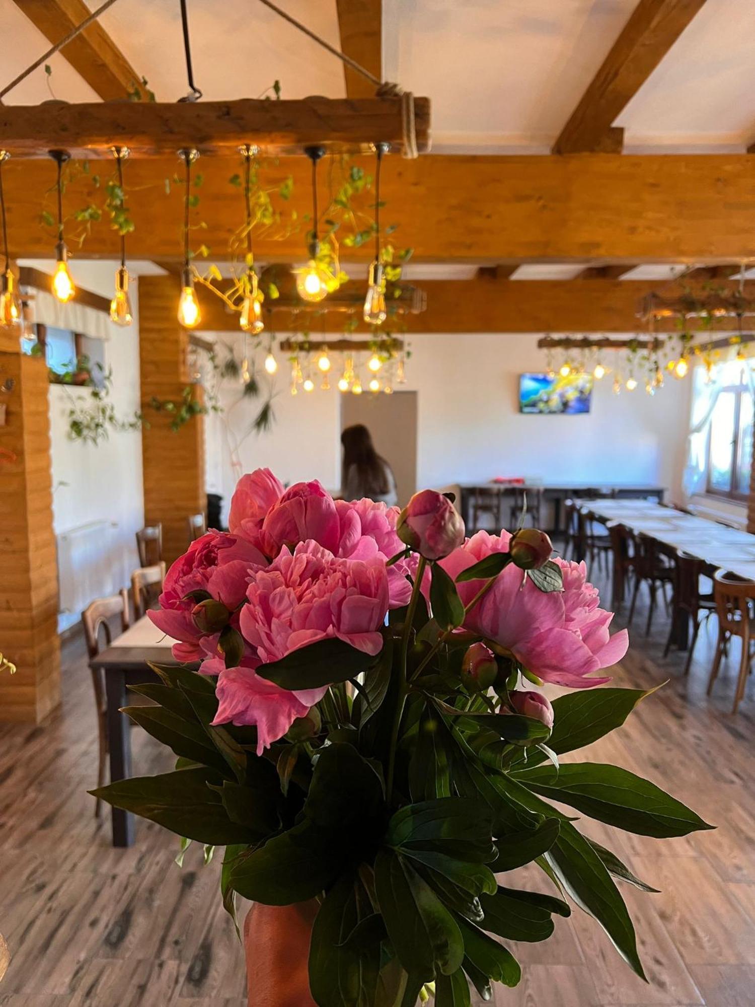 Famives Vendeghaz Bed & Breakfast Racul Dış mekan fotoğraf